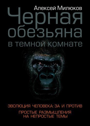 Черная обезьяна в темной комнате Черная обезьяна в темной комнате