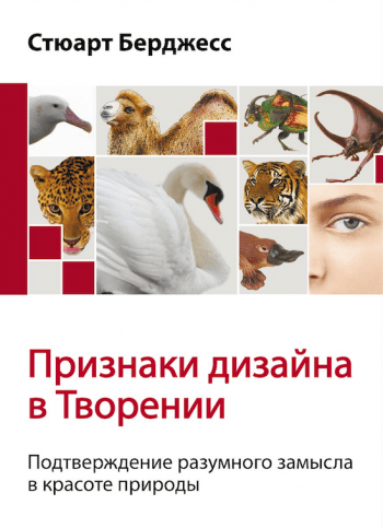 Признаки дизайна в творении Признаки дизайна в творении