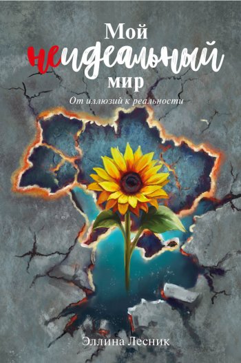 Мой неидеальный мир. От иллюзий к реальности