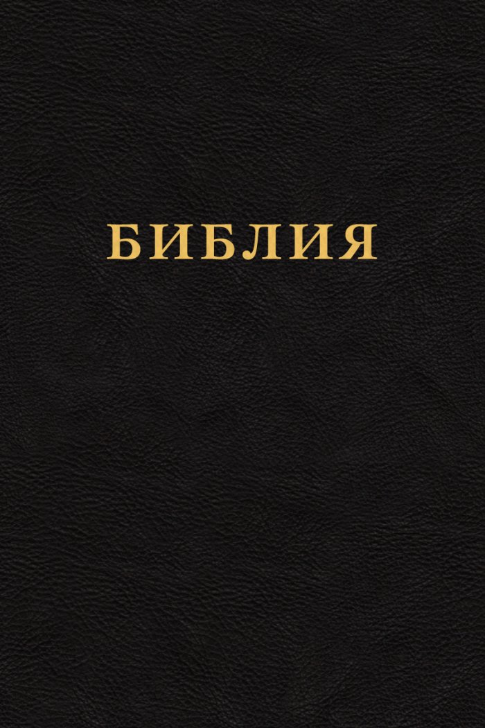 Библия. Канонические и неканонические книги — читать книгу онлайн