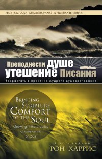 Преподнести душе утешение Писания. Возрастать в практике мудрого душеврачевания